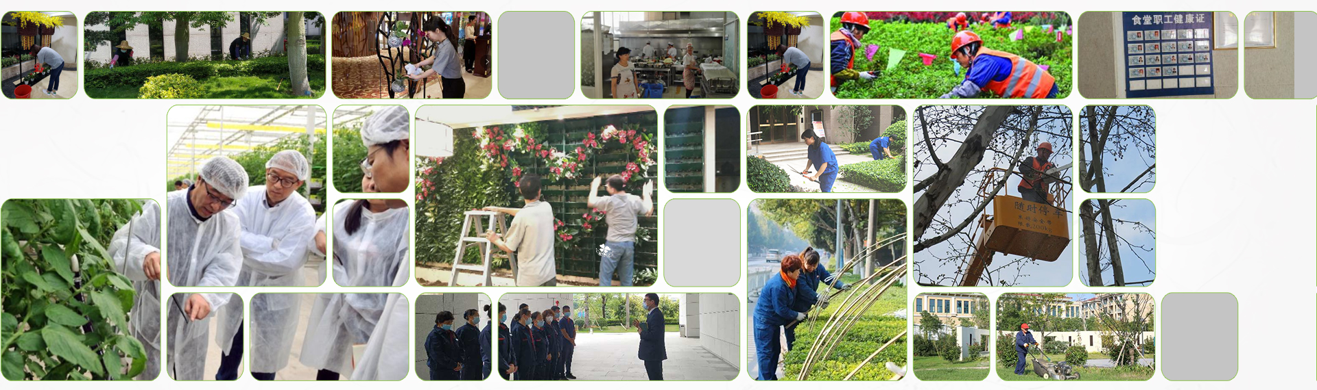 綠植租擺養護和技術團隊